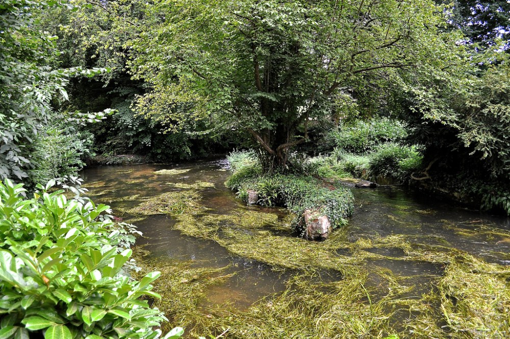 9646391855_48a9d2e6ff_b