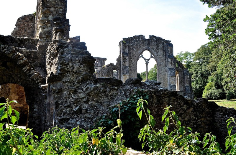 Netley Abbey by Sue Lowry