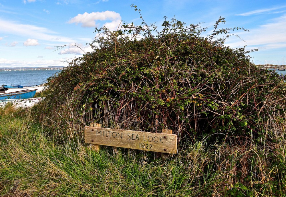 8156878937_c626519894_b