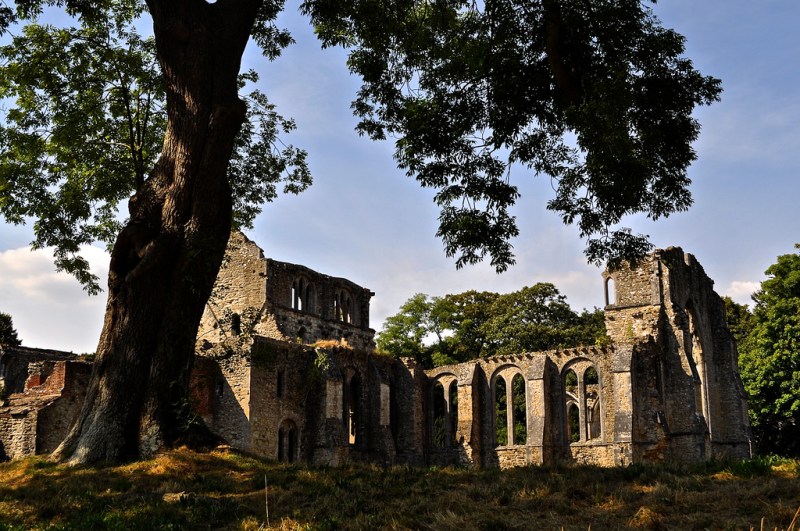 Netley Abbey by Sue Lowry