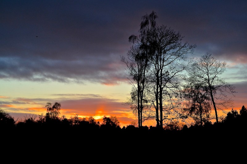 Sunset at Creech Wood