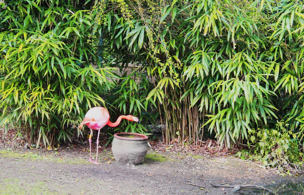 13534820725_a3fd596b10_b