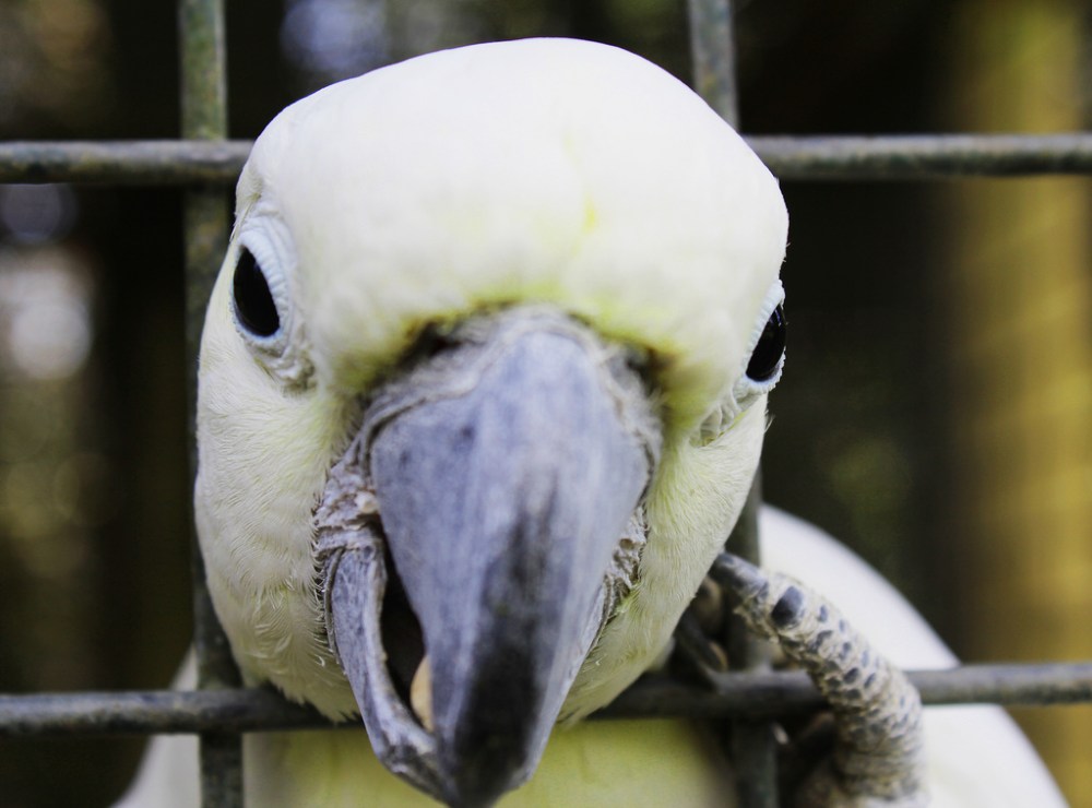 13534873195_b32b4040b6_b