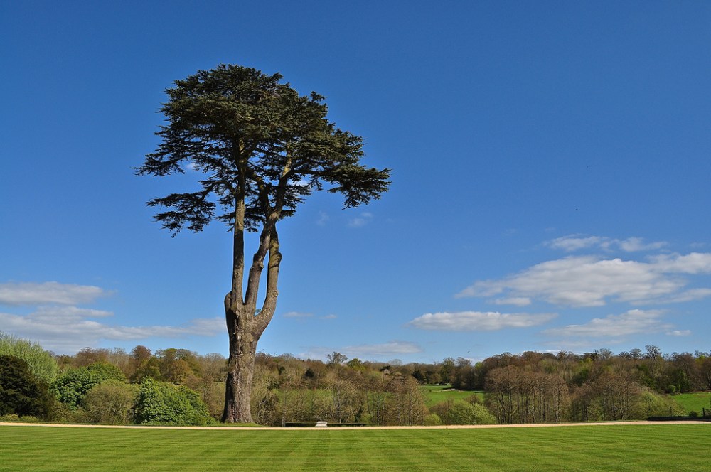 The Grange at Northington