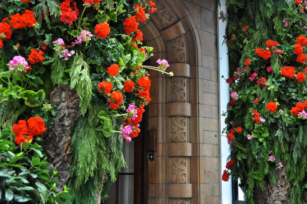 The Stafford entrance for Chelsea Flower Show