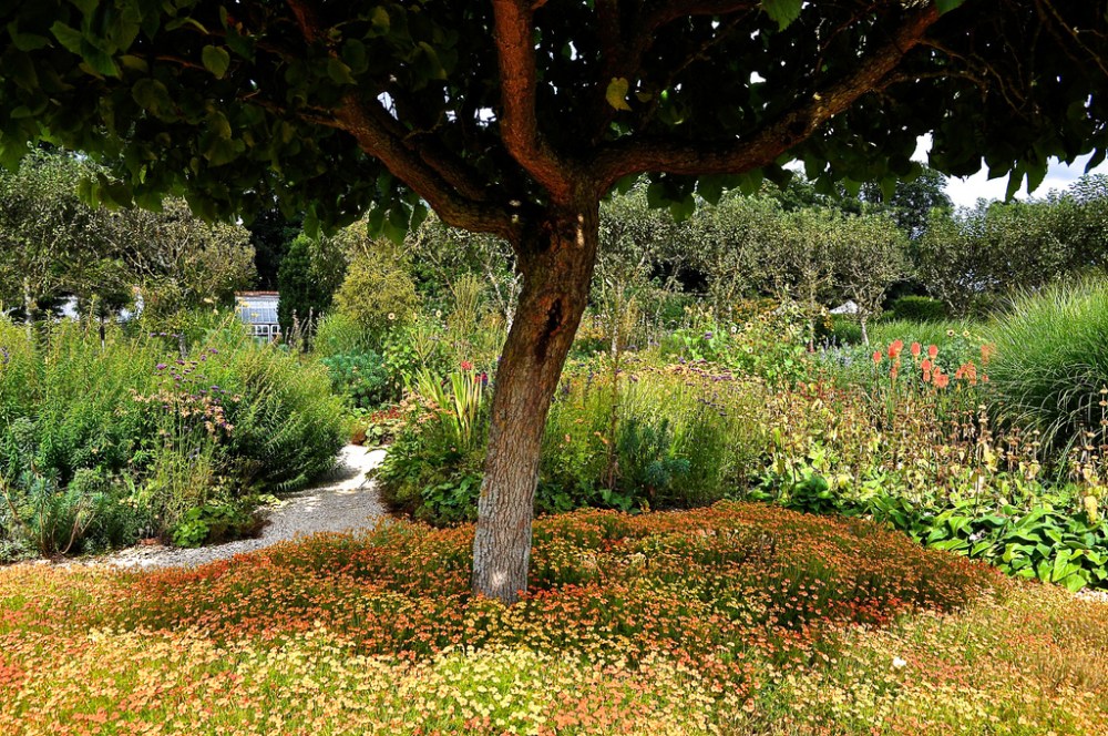 The gardens of Loseley Park