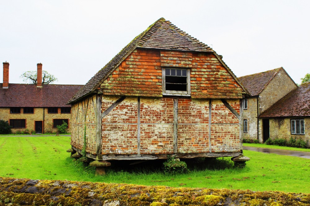Cowdray Ruins, Alexandra Pinhorn 6
