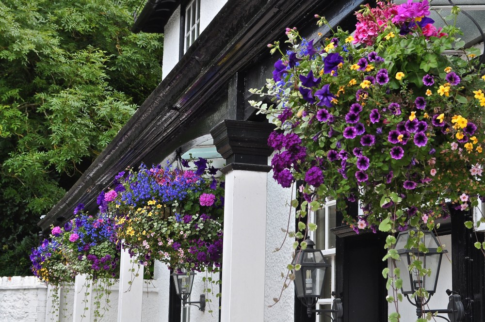 14540660172_6c61e82c0a_k