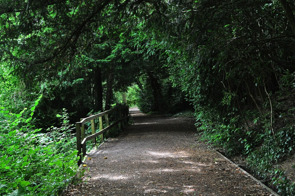 Silent Pool, Shere, Surrey