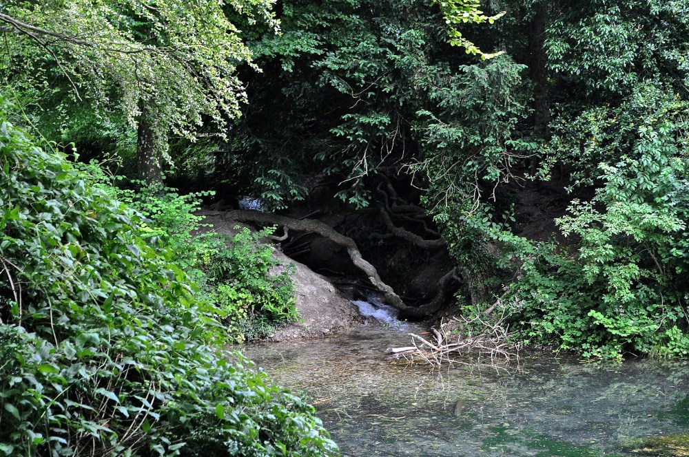 Silent Pool, Shere, Surrey