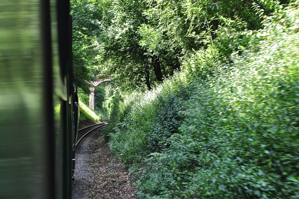 The Watercress Line