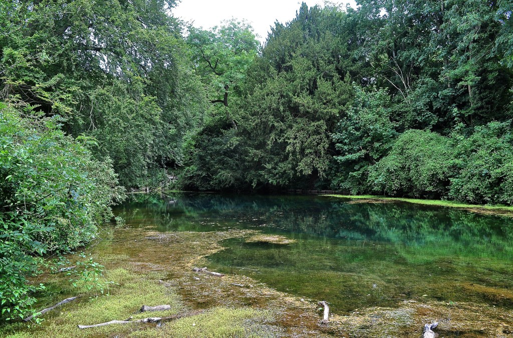 Agatha Christie & the Mystery of Surrey’s Silent Pool!