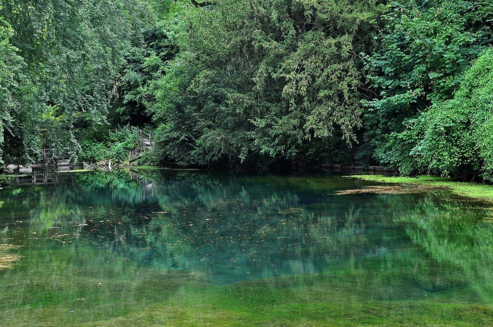 Silent Pool, Shere, Surrey