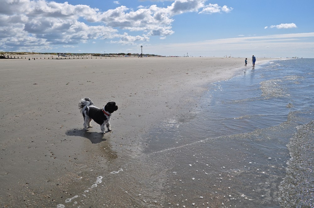 West Wittering