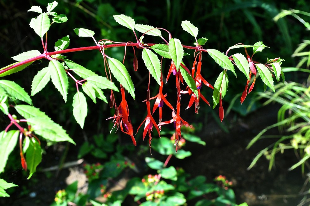 15072328509_2566e4d8d7_k