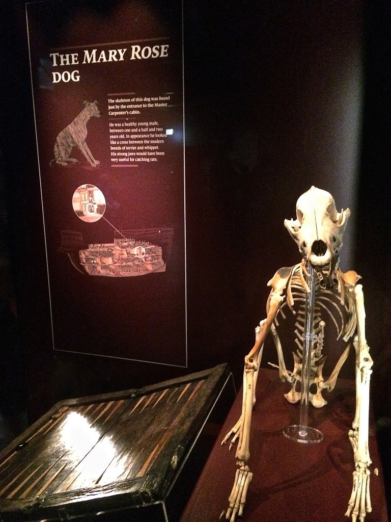 Mary Rose Museum, Portsmouth Historic Dockyard