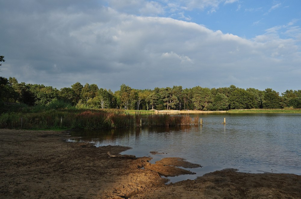 Frensham Little Pond, Surrey