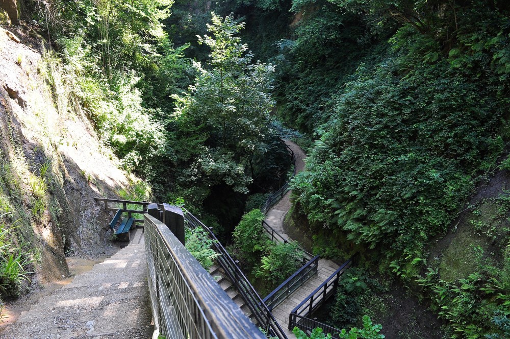 Shanklin Chine, Isle of Wight