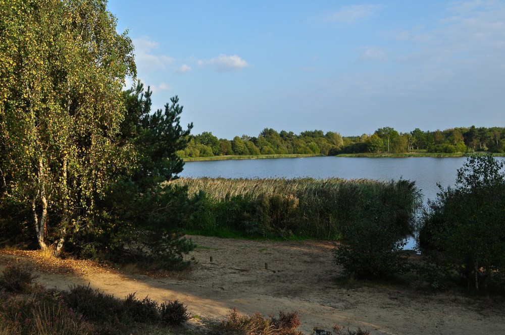Frensham Little Pond, Surrey