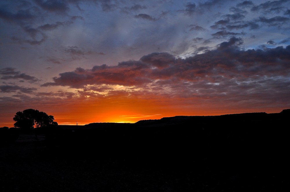 Abadia Retuerta LeDomaine, Castile y Leon, Spain