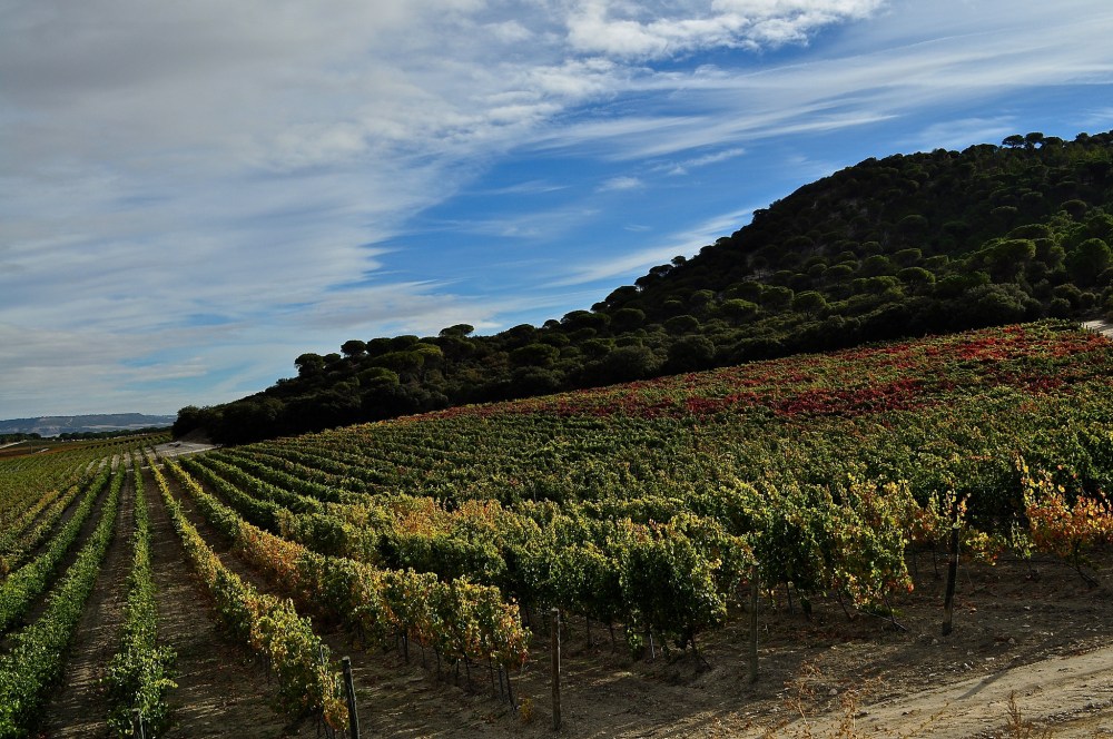 Abadia Retuerta LeDomaine, Castile y Leon, Spain