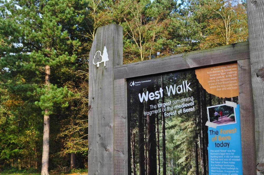 West Walk, Hampshire, England