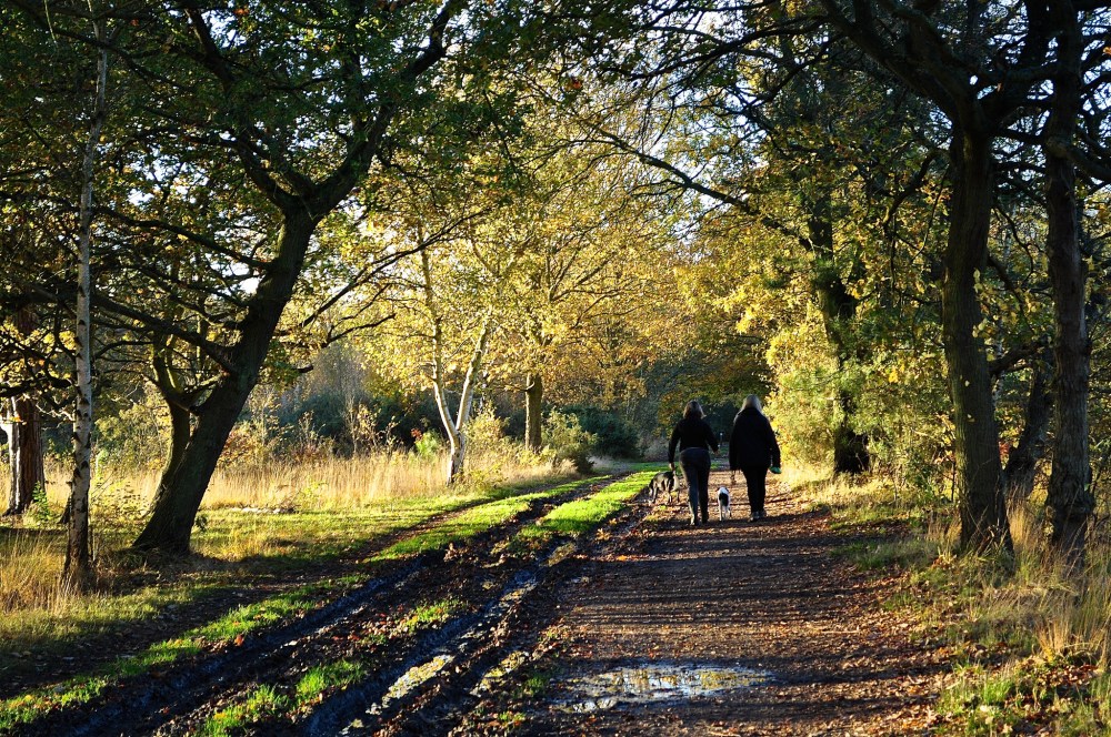 15194722043_d8e2830ff6_k