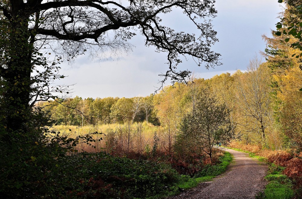West Walk, Hampshire, England