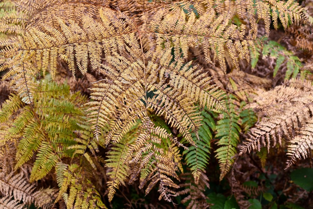 15758443852_69b7672341_k