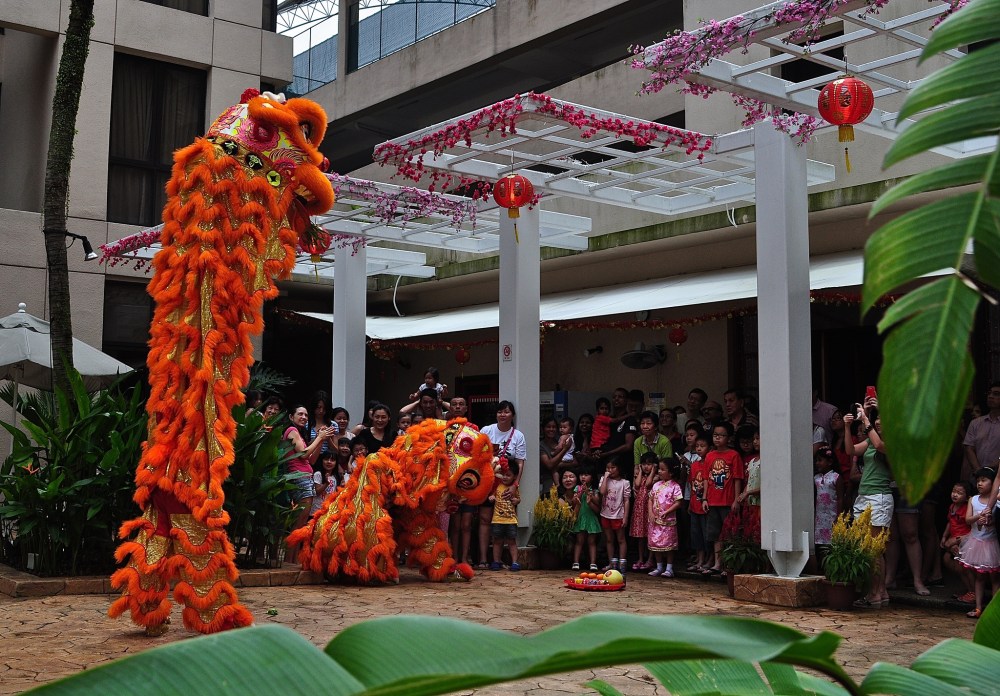 16266825796_891e6ea78a_k