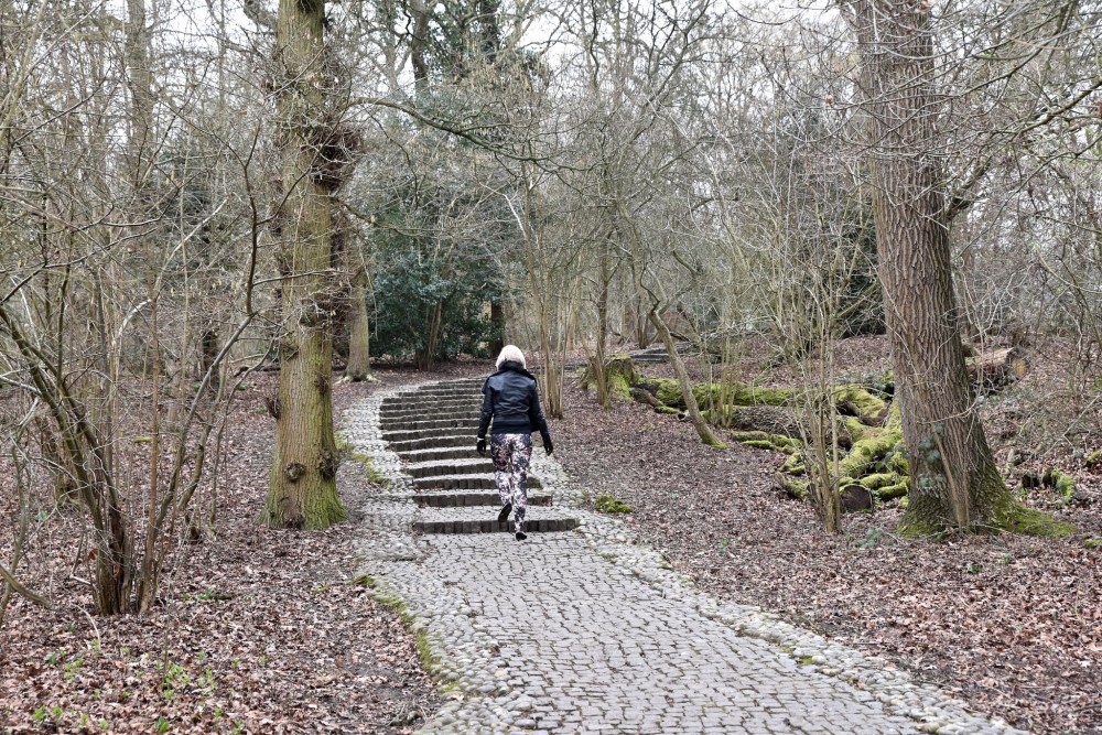 16510686476_00eda92a8d_k