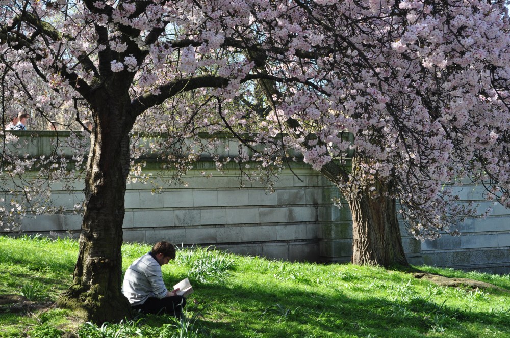 St James's Park, London
