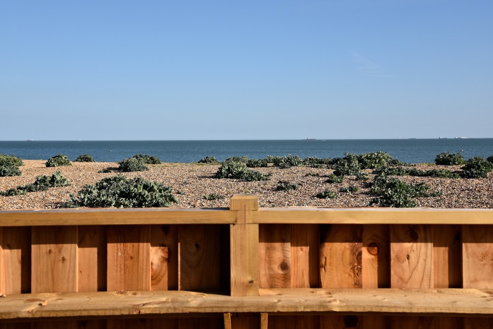 From Eastney Coffee Cup by Sue Lowry