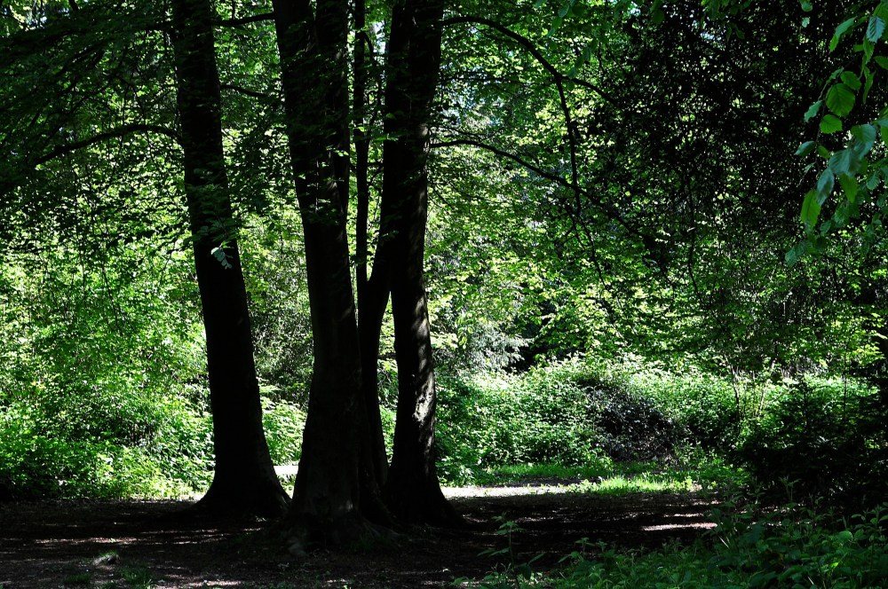 15573081620_2971af61c3_k