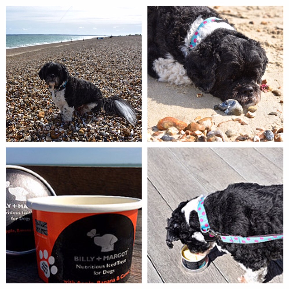 The Hound on Southsea Beach with Billy and Margot doggy ice-cream