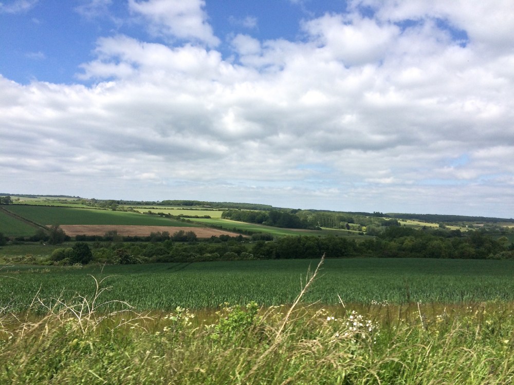 19307474209_2b11885aa5_k