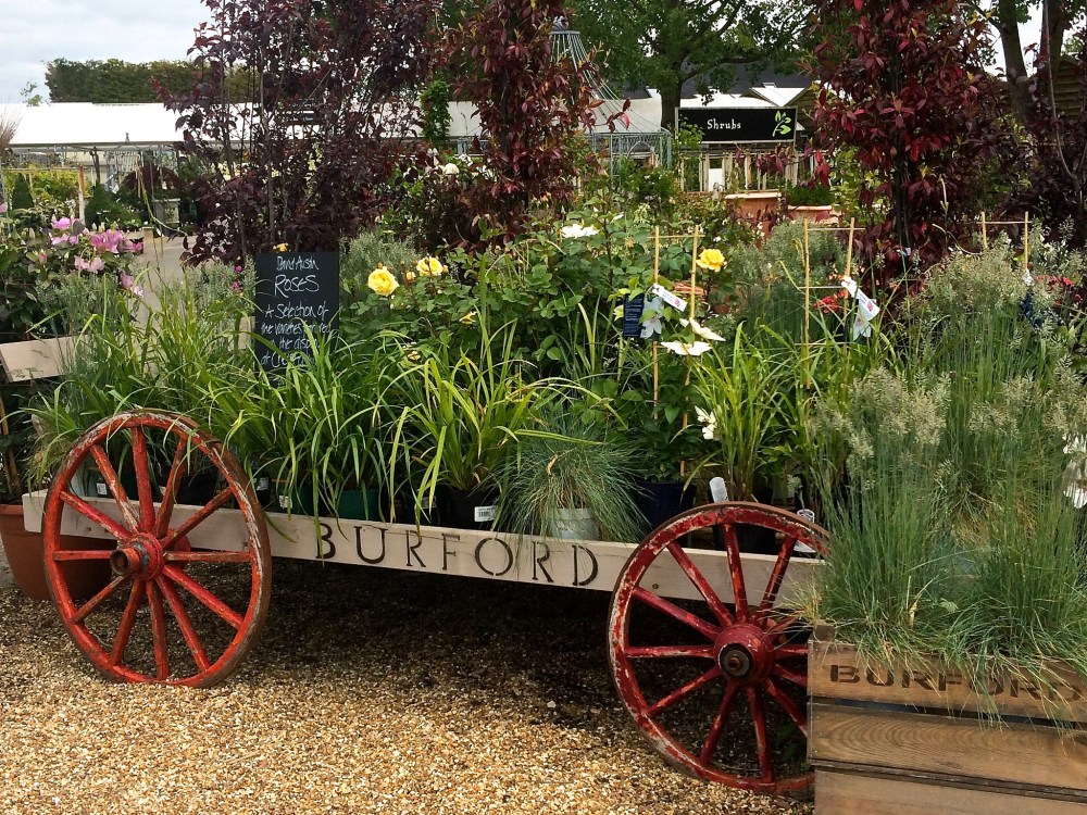 19487153352_fa60117277_k