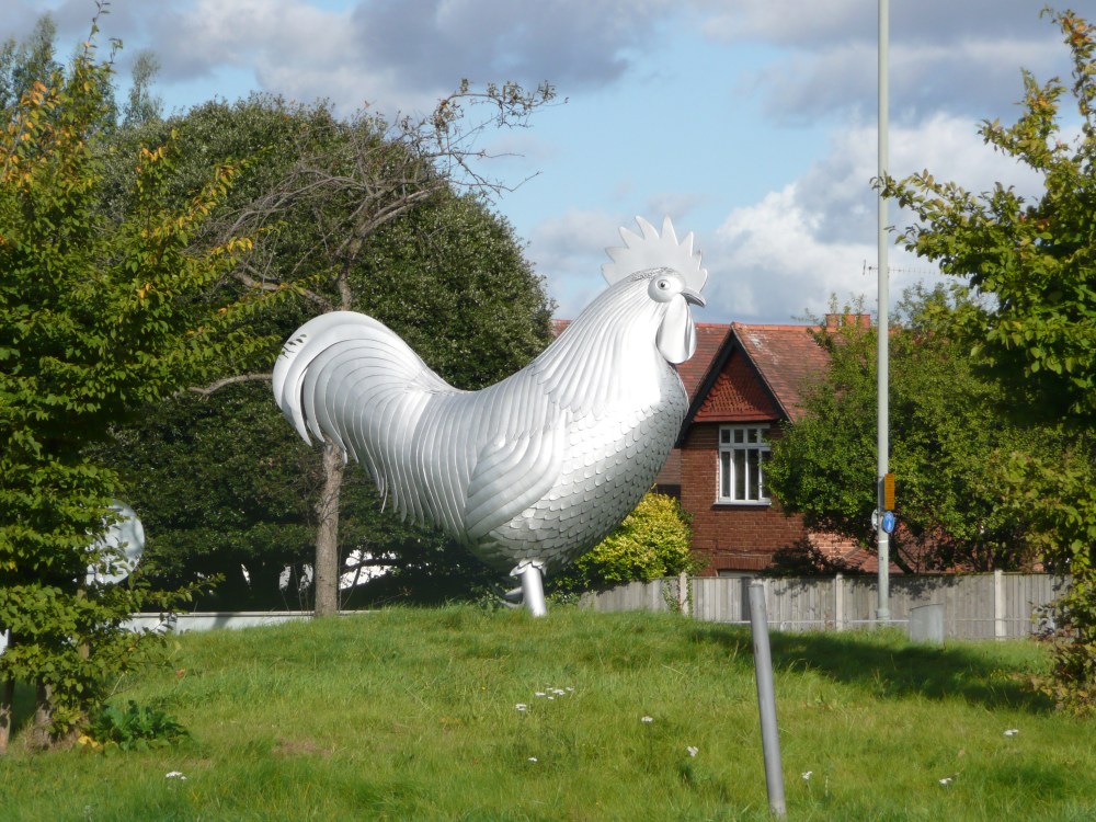 Dorking Cockerel courtesy of Visit Dorking