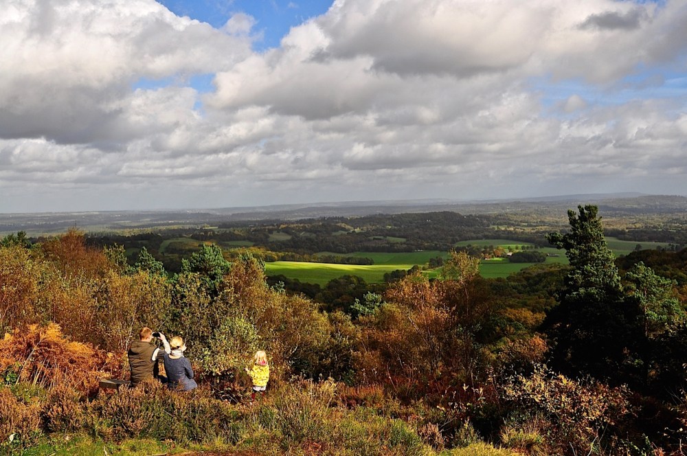 Hindhead Commons, Surrey by Sue Lowry