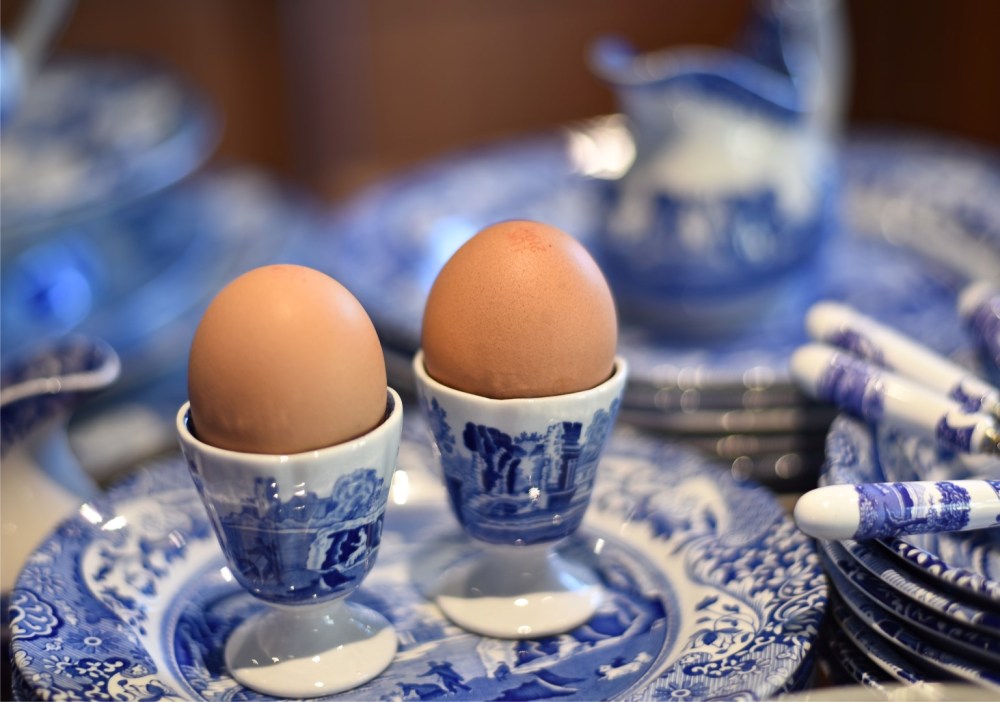 Spode Blue Italian by Sue Lowry 