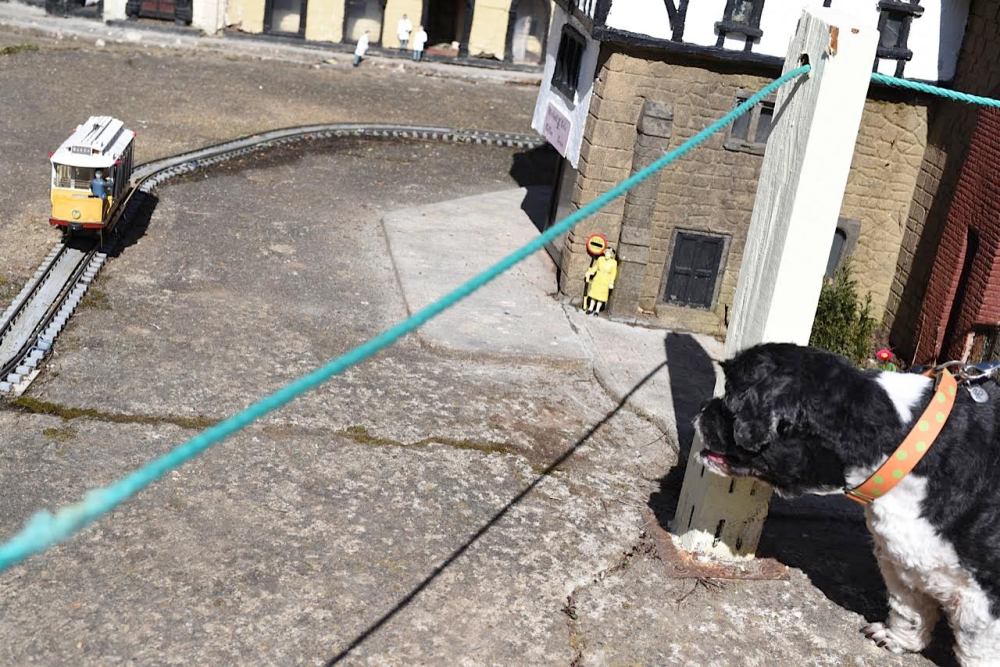 Model Village Southsea by Sue Lowry