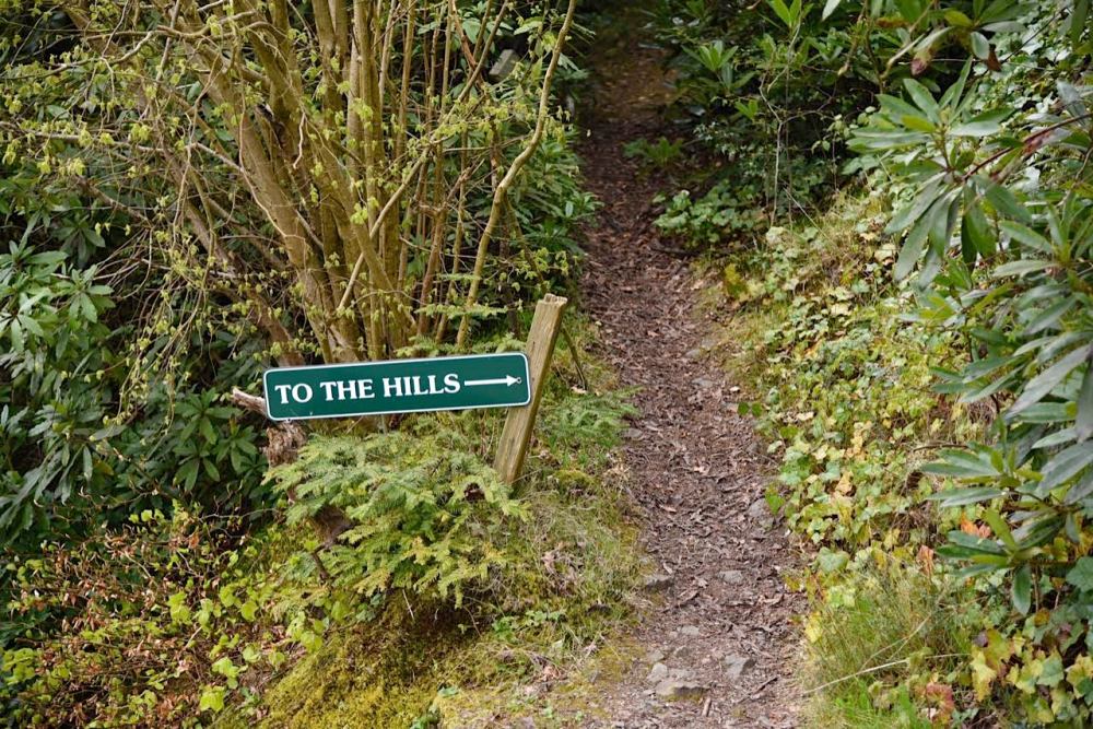 Malvern Hills and Cottage in the Wood by Sue Lowry