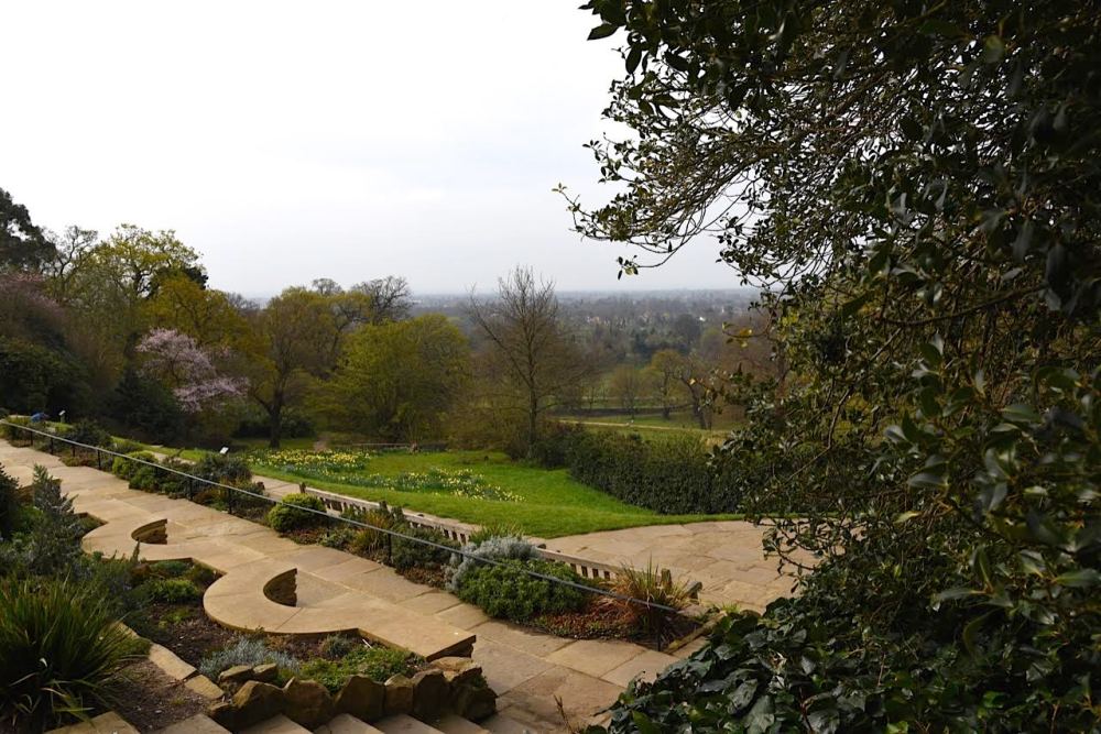 Richmond Park by Sue Lowry