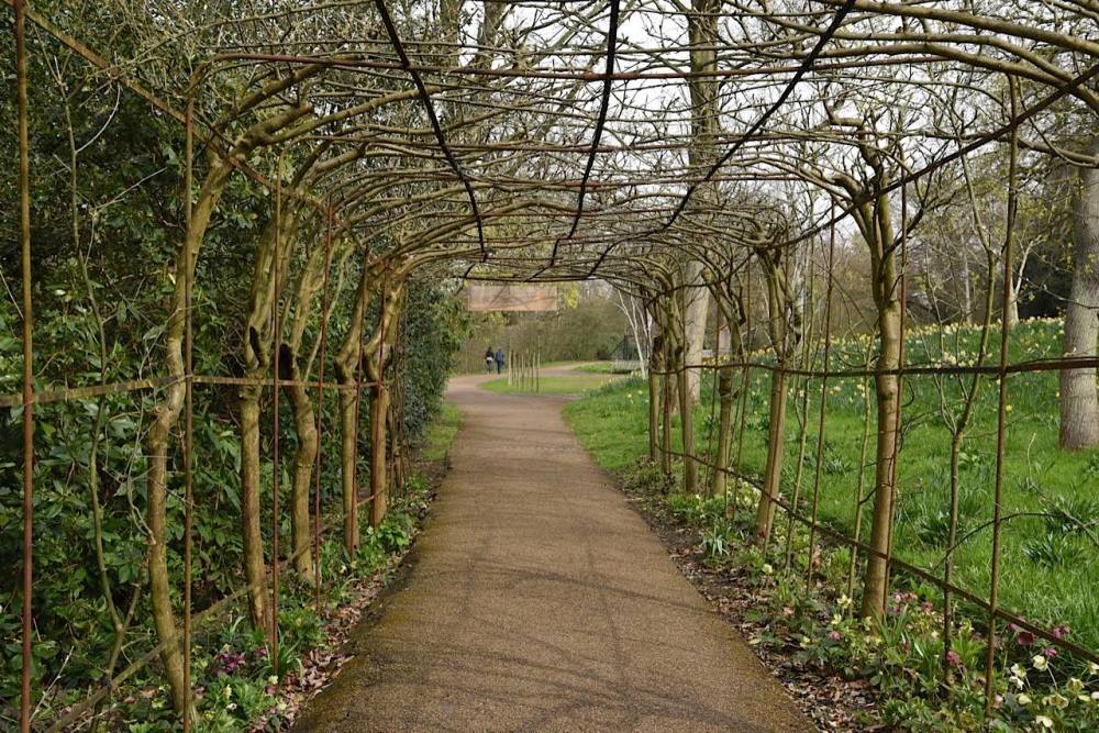 Richmond Park by Sue Lowry