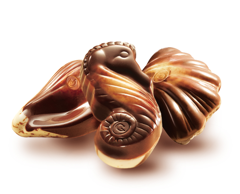 The seahorse with shells -Chocolaterie Guylian