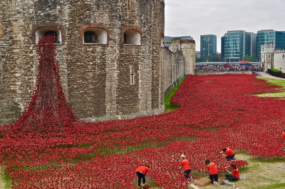 The significance of the red poppy